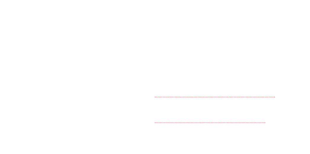 Celerity Logo