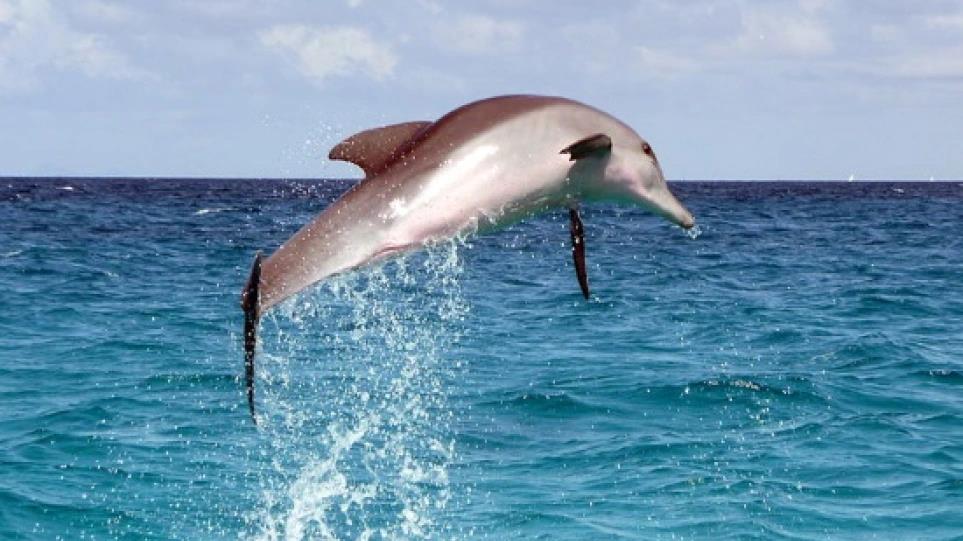 4111275616798586 image