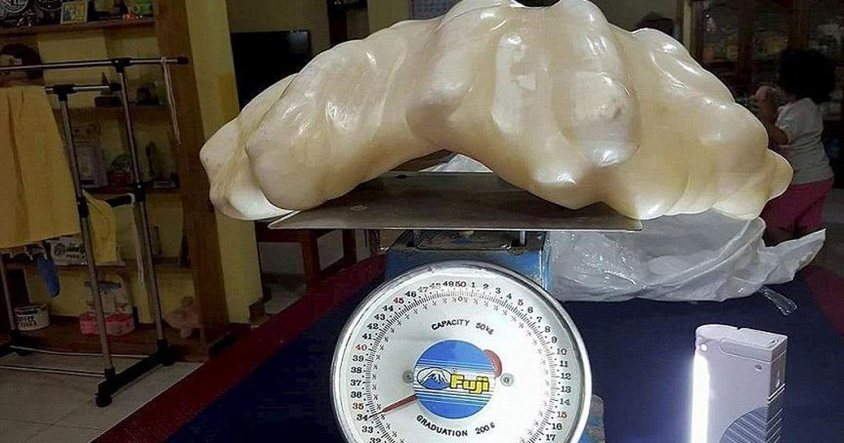 μαργαριτάρι