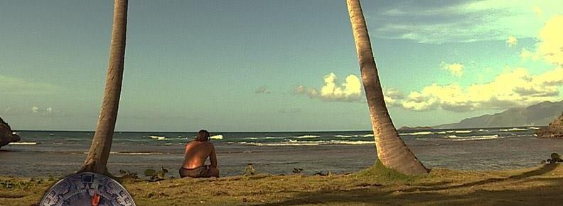 survivor gr