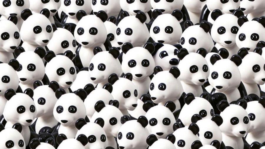 panda