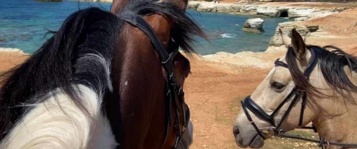 georges-ranch-horse-riding-in-pafos-2