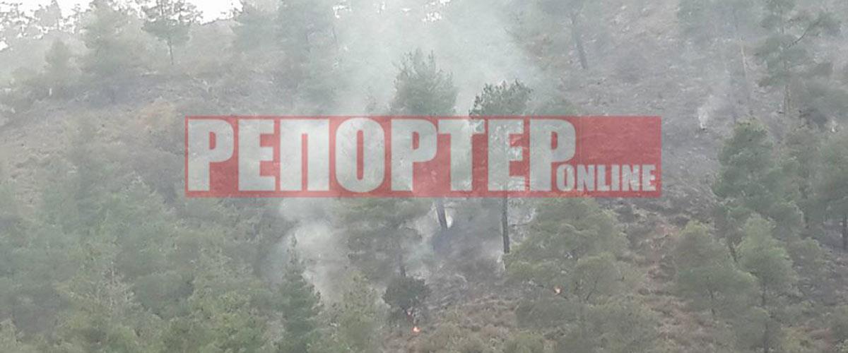 ΚΑΝΝΑΒΙΑ
