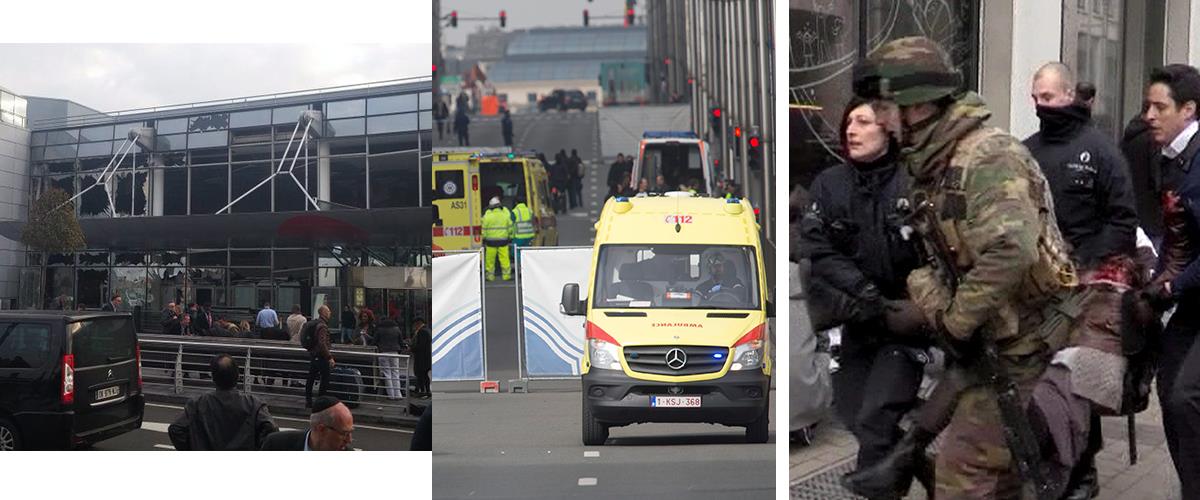 new_brussels