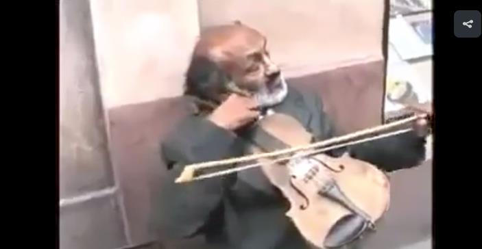 violi