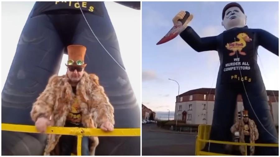 cats