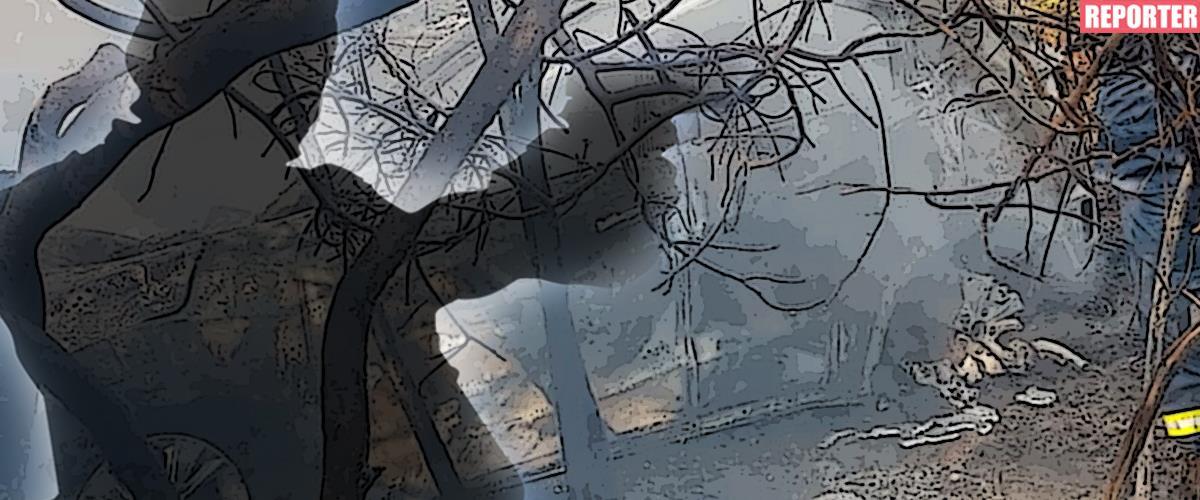 4209061647761381 image