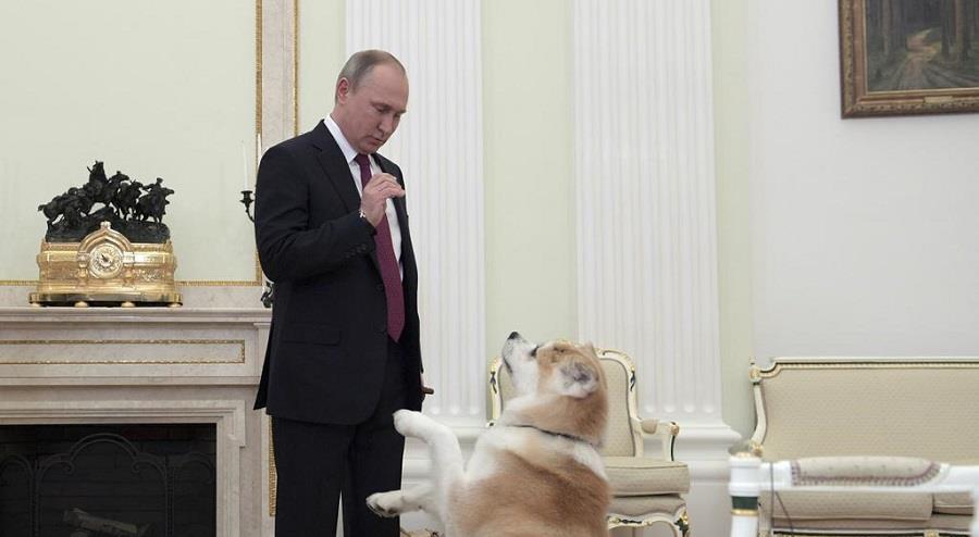 putin 