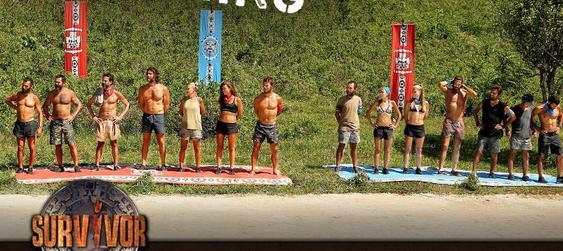 survivor gr