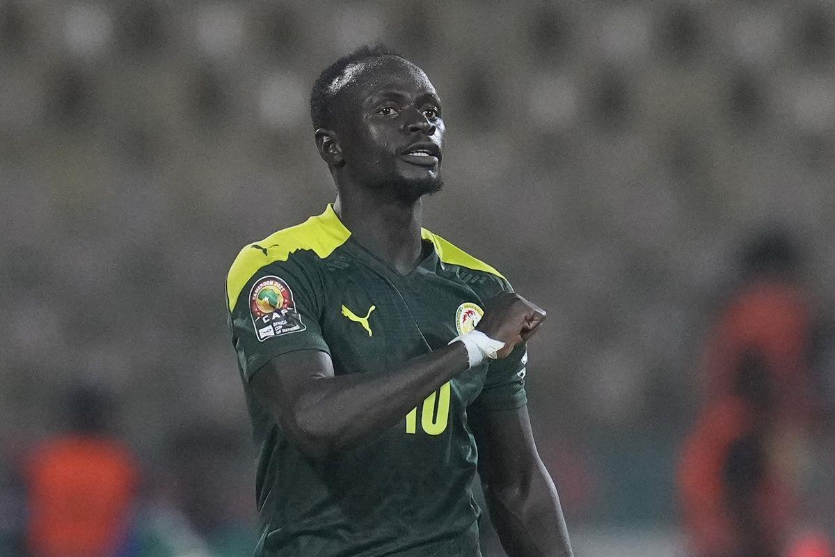 4382480189845559 mane-senegal