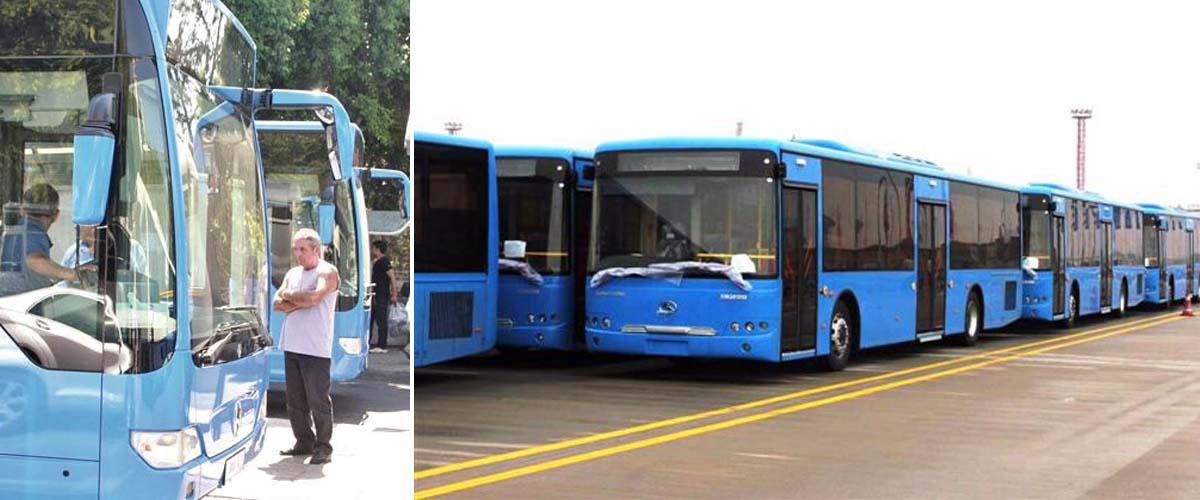 busses